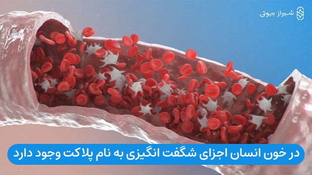 پلاکت‌های موجود در خون