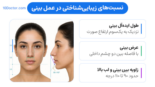 نسبتهای زیباییشناختی در عمل بینی
